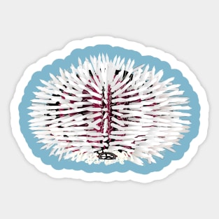 White and red sea urchin animal Sticker